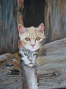 KEDİLER