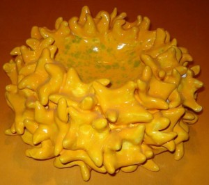 SARI ÇANAK