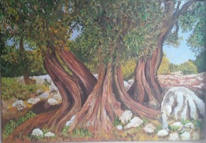 Yaşlı Zeytin